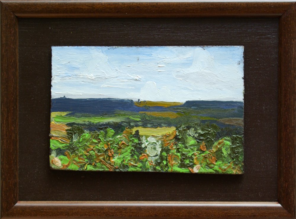 2008 — (11) (14) Vrbický hřeben, A,O,S, cca 10x16cm